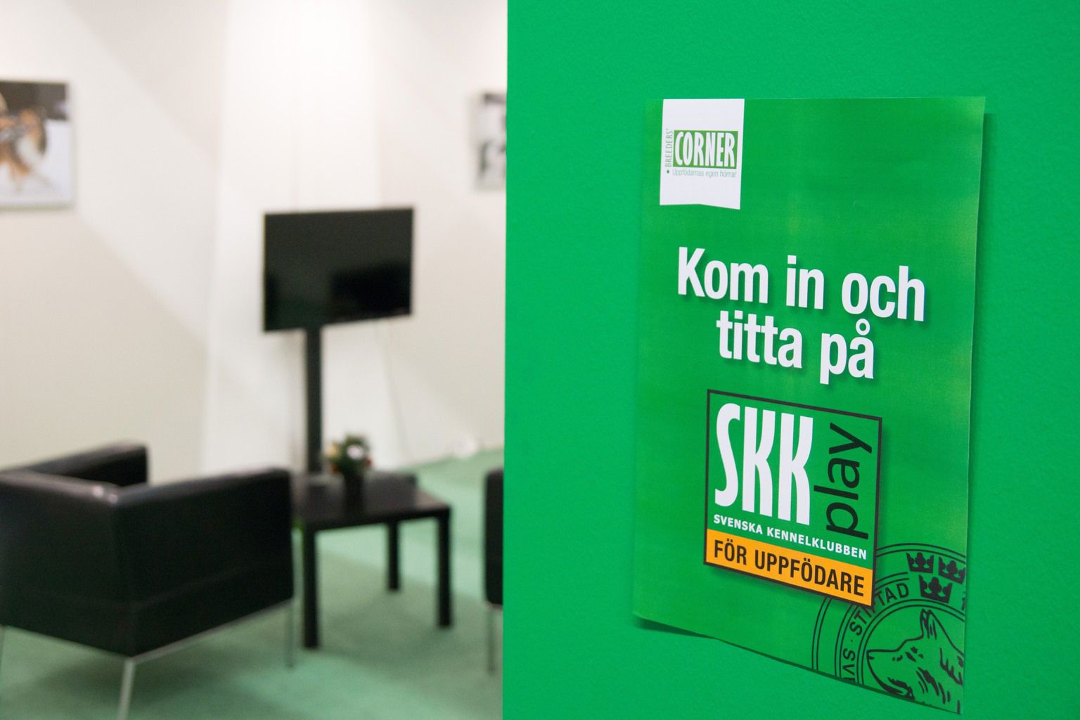 SKK play för uppfödare