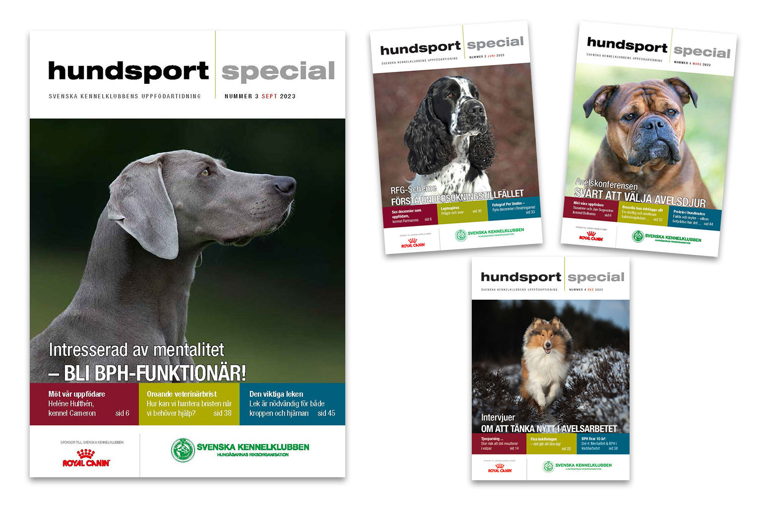 Fyra omslagsbilder från Hundsport Special